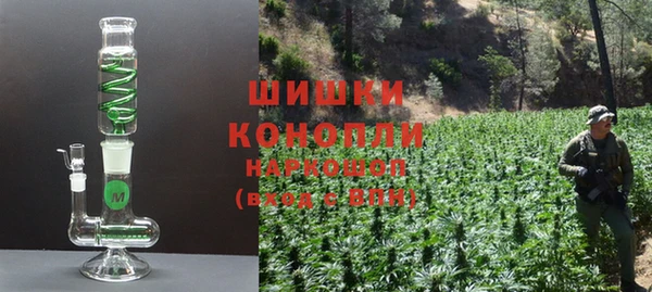 спайс Алзамай