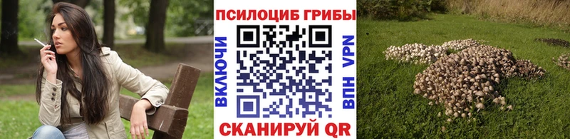 Галлюциногенные грибы прущие грибы  наркотики  Биробиджан 