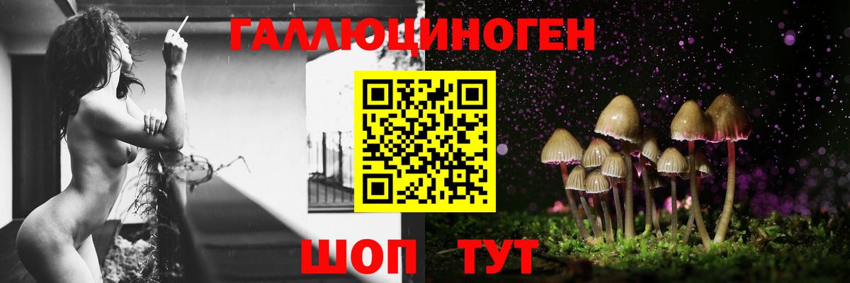 Псилоцибиновые грибы Magic Shrooms  как найти закладки  Биробиджан  Вход с VPN 
